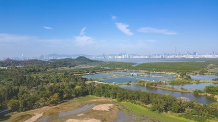 6 Jan 2023 the landscape of Fung Lok Wai Fish Pond