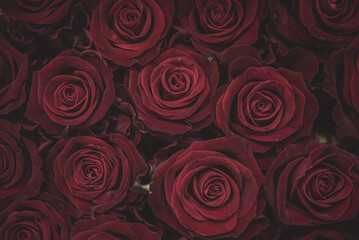 Bunch of red roses, close up, love, romance