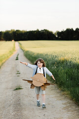 A cheerful kid in aviator's glasses runs in a cardboard plane. Wheat field background lit by sunlight. Children's games and dreams. High quality photo