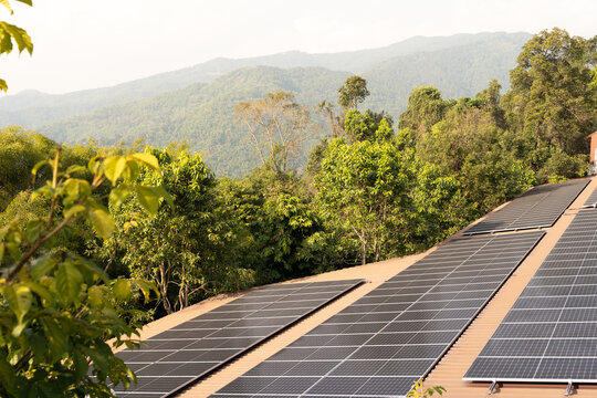 Solar Cells On The Roof In The Jungle. Photovoltaic Panels On The Roof . Roof Of Solar Panels. View Of Solar Panels In The Roof House With Sunlight.