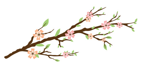 Spring tree blossoming branch. Pastel spring flowers. Isolated on white background. Design for cards, invitations, posters.