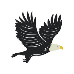 Falcon logo template vector