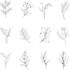 Hand drawn floral herbs set elements