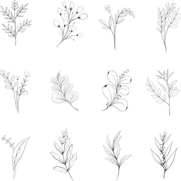 Hand drawn floral herbs set elements