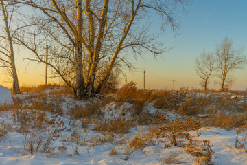 Winter landscape. Snowcovered farmland fields during sunset.