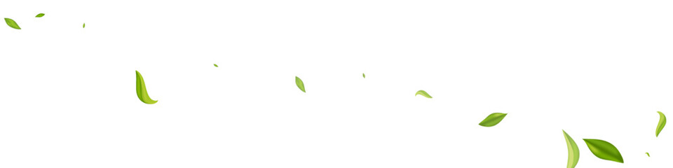 Lime Foliage Flying Vector White Panoramic