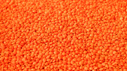 Red raw lentils. Food background. Top View. Healthy food. Selective focus.