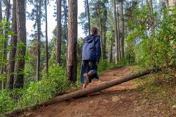 Young woman with blue raincoat from behind hiking alone at Sri Lankan forest. Beautiful dense forest at spring time.