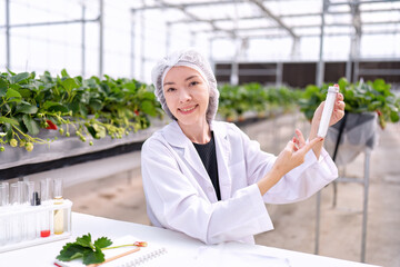 Fruit researcher in greenhouse hydroponic farming test natural fertilizer grow of strawberry
