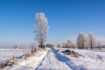 Fototapeta na wymiar Piękny słoneczny zimowy dzień, Podlasie, Polska