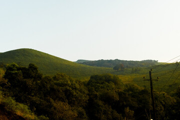 Beautiful lawn covered hills during sunset at chikmagalur,Karnataka,India