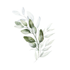 Watercolor floral illustration bouquet - green leaf branches collection, for wedding stationary, greetings, wallpapers, fashion, background. Eucalyptus, olive, green leaves, etc.