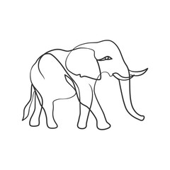 Elephant in continuous one line art drawing