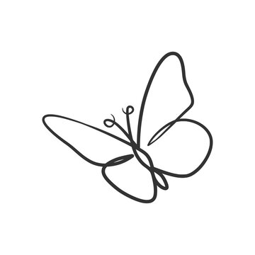Butterfly continuous line art drawing