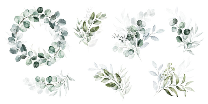 Watercolor floral illustration set - bouquets and wreath. Green leaf branches collection. Wedding invites, wallpapers, fashion. Eucalyptus, olive,  leaves.