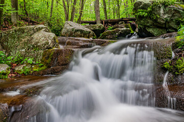 Springtime at Rose River Falls, Shenandoah National Park Virginia USA, Virginia