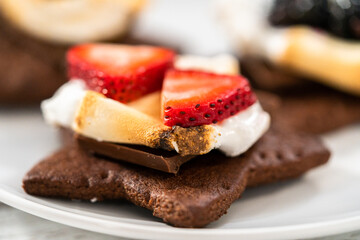 Fruit Smores