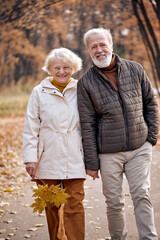 mature elderly active caucasian couple holding hands looks happy in park in autumn season,happy anniversary concept. gray haired mature man and woman in coats walking together, in love