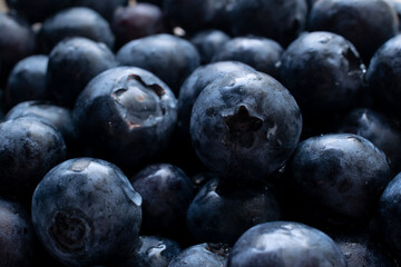 blueberry closeup background or texture