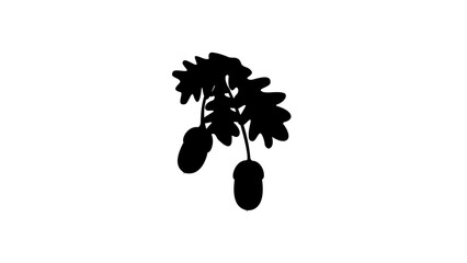 acorn silhouette © OMIA