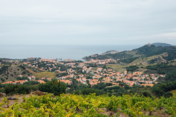 Fototapeta na wymiar Vue sur le village de Collioure. Panorama du village et de la campagne de Collioure. Le littoral du bord de mer. Littoral du Languedoc Roussillon