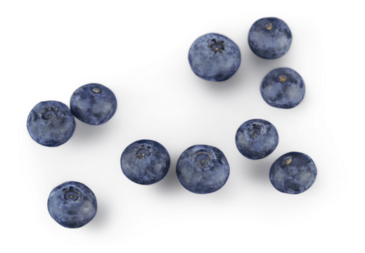 Many Natural fresh sweet blueberry