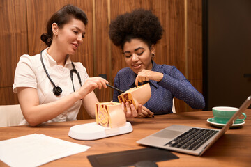 African Amrican lady looking at pelvic floor sample
