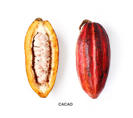 Creative layout made of cacao fruit on the white background. Flat lay. Food concept. Macro concept.