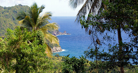Panoramic of the south coast, Dominica Island