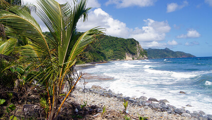 Panoramic of the south coast, Dominica Island