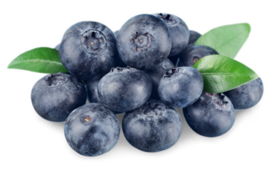 Fresh ripe sweet blueberries with leaves