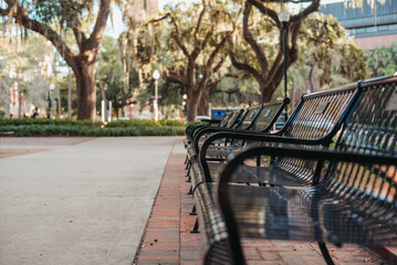 Park benches with blurred out buildings in the background. University streets. Concept of recreation in the park.