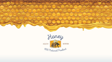 Honey comb with honey, and a symbolic simplified image of a bee as a design element on a textured background.