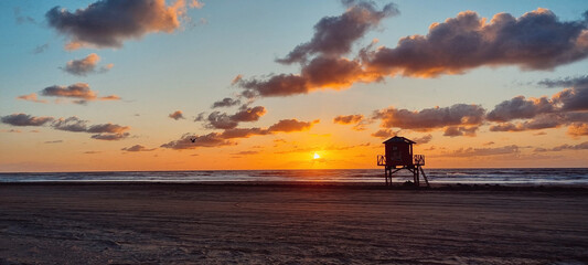 Fototapeta premium little bird flying lonely on the beach, enjoying sunset and blue sky