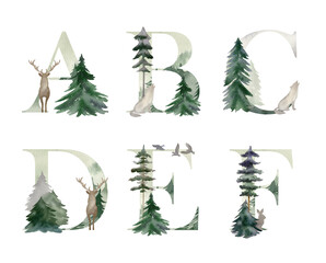Watercolor forest letters for invitation card, poster and other.