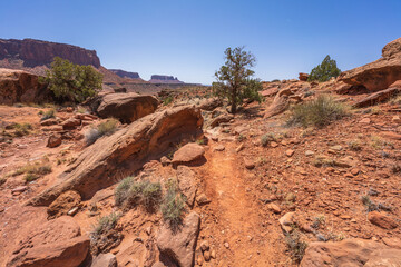 hiking the murphy trail loop in the island in the sky in canyonlands national park, usa