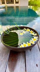 swimming pool and flower