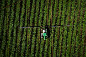Campo, maiz, maquinaria agraria, siembra