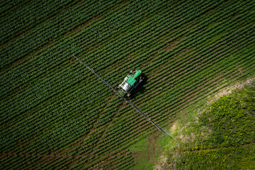 Campo, maiz, maquinaria agraria, siembra
