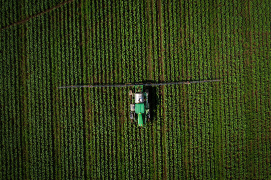 Campo, maiz, maquinaria agraria, siembra