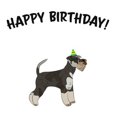 Happy birthday card with dog, holiday design. Present for a dog lover. Funny cartoon dog breed illustration.  Minimalistic greeting card. Fun 
Miniature Schnauzer dog in hat character postcard.