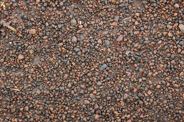 nature texture background floor land field grass stone leaves