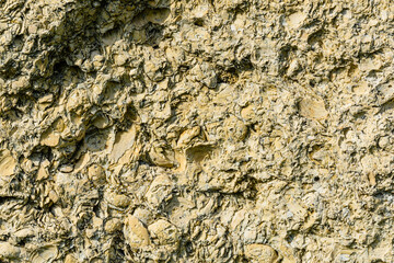 Texture of the shell rock limestone for background. Natural pattern