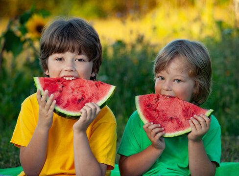 Two boys with fruit in park. Happy child eating watermelon in garden.