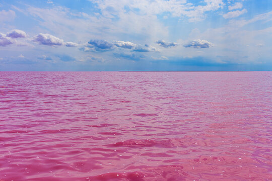 View on pink lake with Dunaliella Salina algae. Lemurian lake at south of the Ukraine