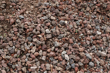 nature texture background floor land field grass stone leaves