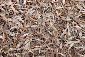 nature texture background floor land field grass stone leaves