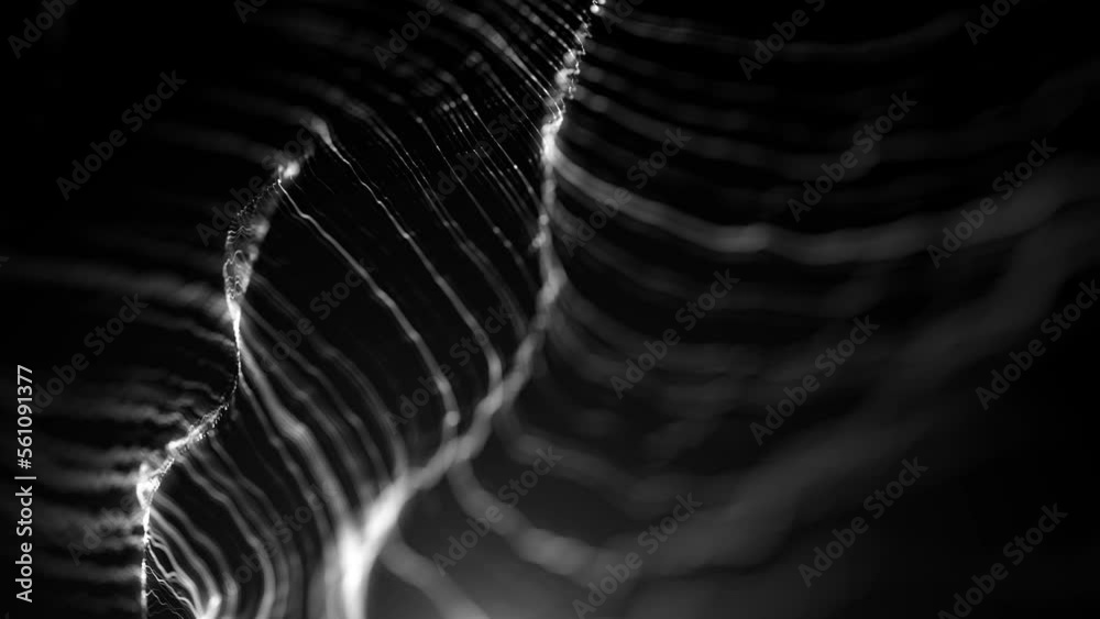 Poster waving lines background/ 4k animation of an abstract technology background with digital strings wavi