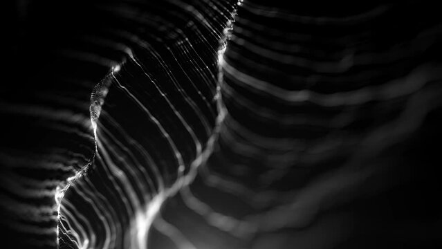 Waving Lines Background/ 4k animation of an abstract technology background with digital strings waving