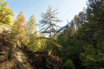 Griechenland - Iliochori - Wanderweg zum Wasserfall Balta di Striga
